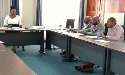 CECs Mid year assessment 1