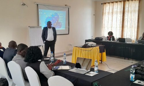 Skills Gap and Discipline in Public Service