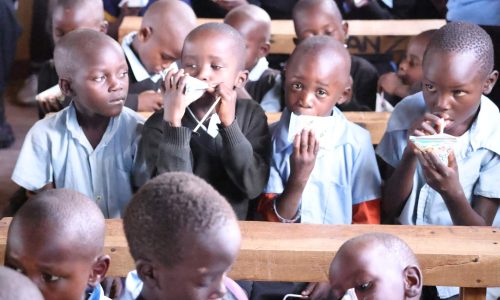 𝐔𝐤𝐨𝐦𝐛𝐨𝐳𝐢 𝐌𝐢𝐥𝐤 2